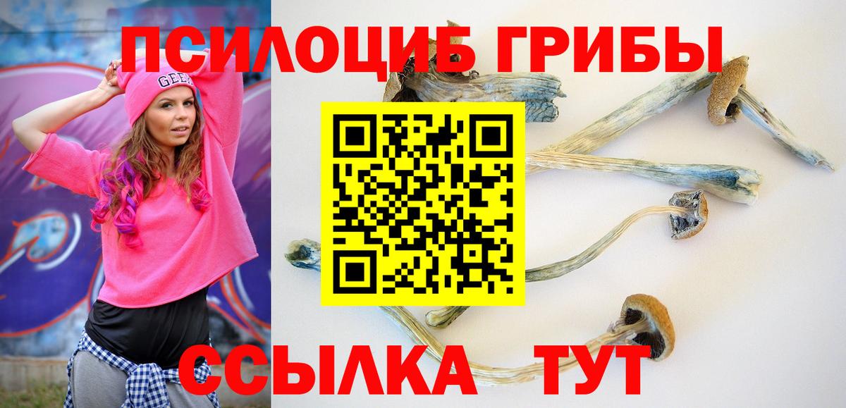 Псилоцибиновые грибы мухоморы Саров