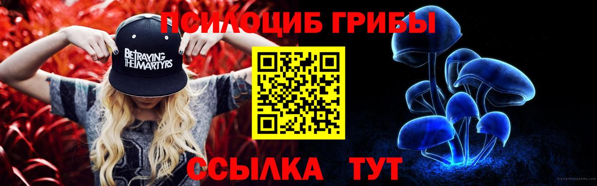 Галлюциногенные грибы мицелий  Галлюциногенные грибы Psilocybine cubensis  Вход с VPN  Саров 